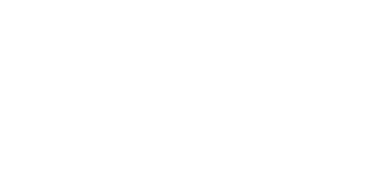 KAISEI